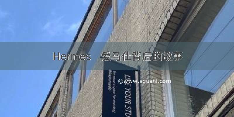 Hermes  爱马仕背后的故事