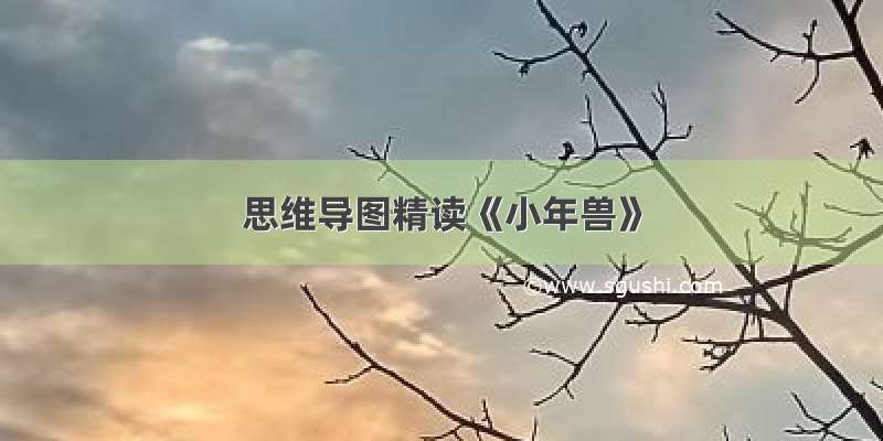 思维导图精读《小年兽》