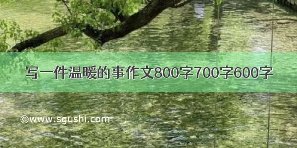 写一件温暖的事作文800字700字600字