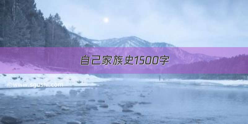 自己家族史1500字