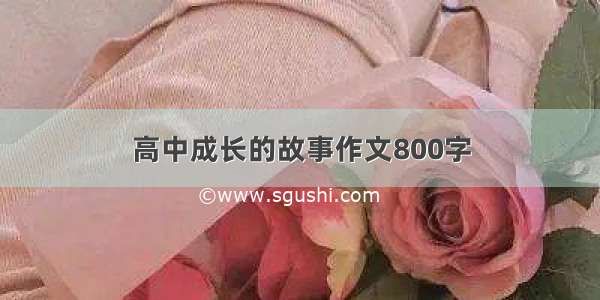 高中成长的故事作文800字