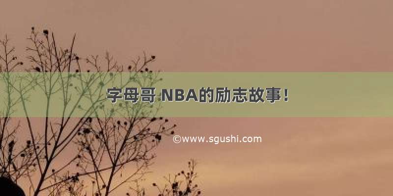 字母哥 NBA的励志故事！