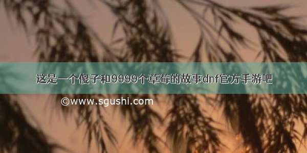 这是一个傻子和9999个草莓的故事dnf官方手游吧