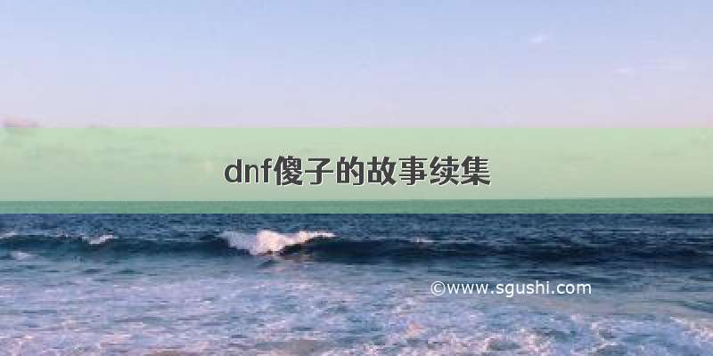 dnf傻子的故事续集