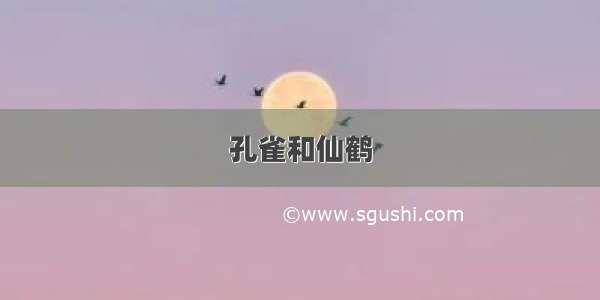 孔雀和仙鹤