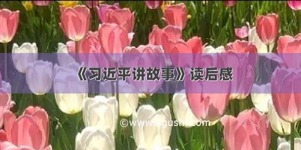 《习近平讲故事》读后感