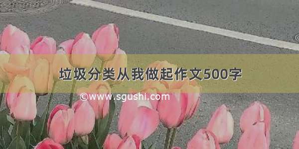 垃圾分类从我做起作文500字