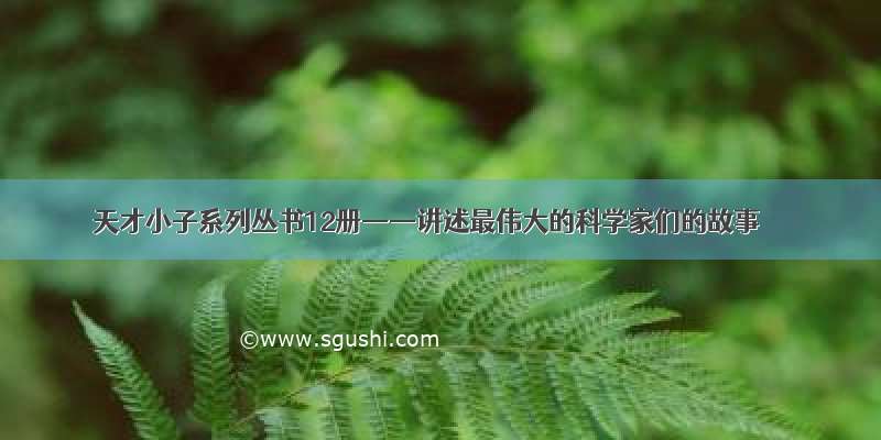 天才小子系列丛书12册——讲述最伟大的科学家们的故事