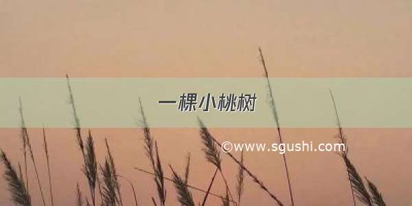 一棵小桃树