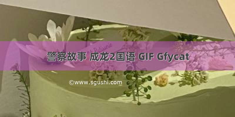 警察故事 成龙2国语 GIF Gfycat