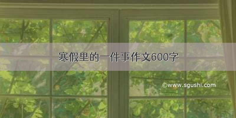 寒假里的一件事作文600字