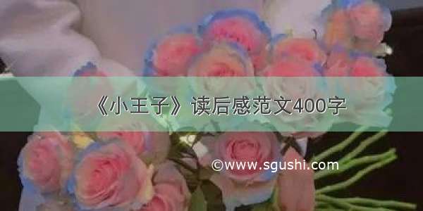 《小王子》读后感范文400字