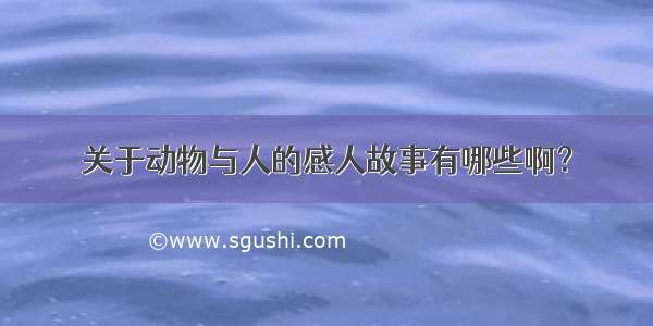 关于动物与人的感人故事有哪些啊？