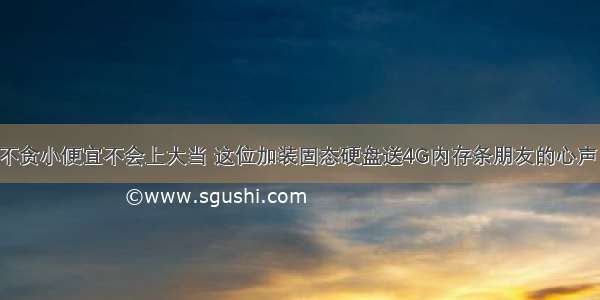 不贪小便宜不会上大当 这位加装固态硬盘送4G内存条朋友的心声！