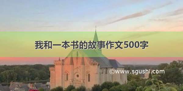 我和一本书的故事作文500字