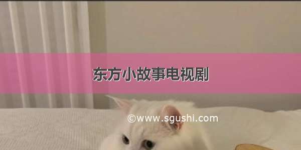 东方小故事电视剧