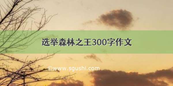 选举森林之王300字作文