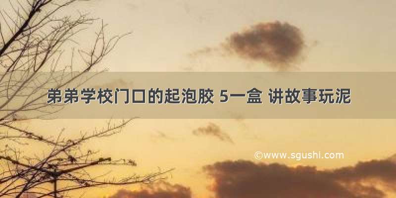 弟弟学校门口的起泡胶 5一盒 讲故事玩泥