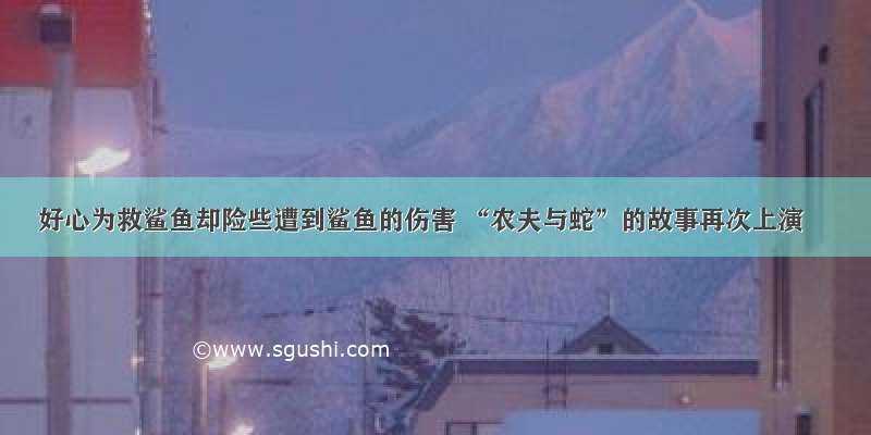 好心为救鲨鱼却险些遭到鲨鱼的伤害 “农夫与蛇”的故事再次上演