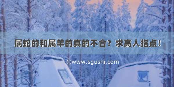 属蛇的和属羊的真的不合？求高人指点！