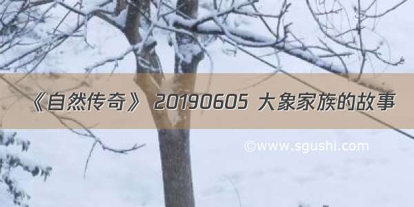 《自然传奇》 20190605 大象家族的故事