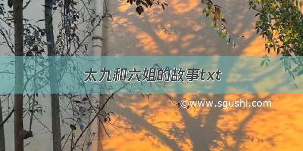 太九和六姐的故事txt