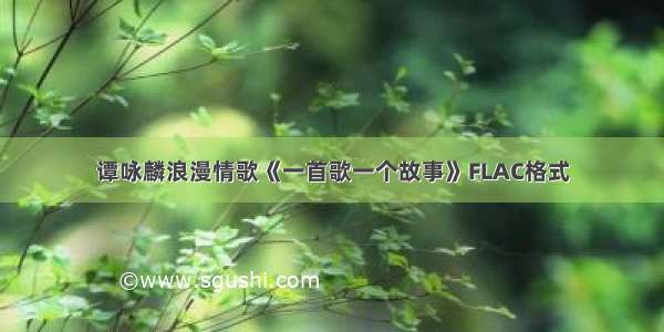 谭咏麟浪漫情歌《一首歌一个故事》FLAC格式