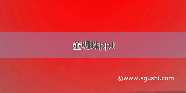 董明珠ppt