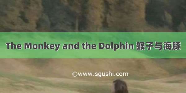 The Monkey and the Dolphin 猴子与海豚