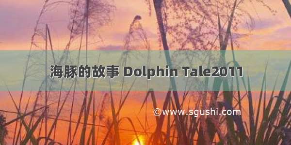 海豚的故事 Dolphin Tale2011