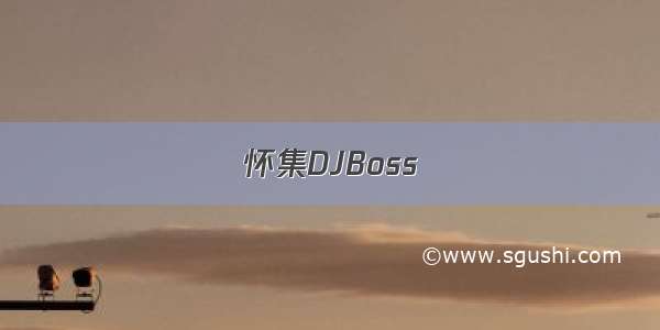 怀集DJBoss