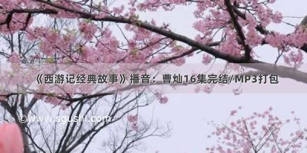 《西游记经典故事》播音：曹灿16集完结/MP3打包