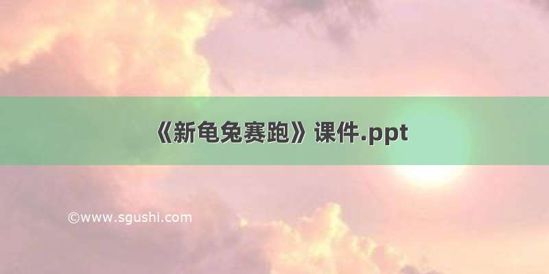 《新龟兔赛跑》课件.ppt