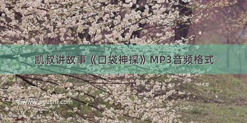 凯叔讲故事《口袋神探》MP3音频格式