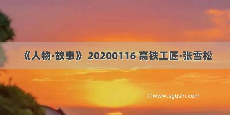 《人物·故事》 20200116 高铁工匠·张雪松