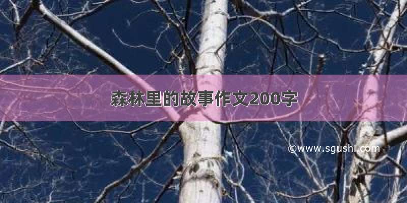 森林里的故事作文200字