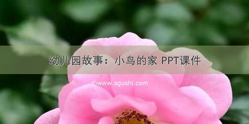 幼儿园故事：小鸟的家 PPT课件