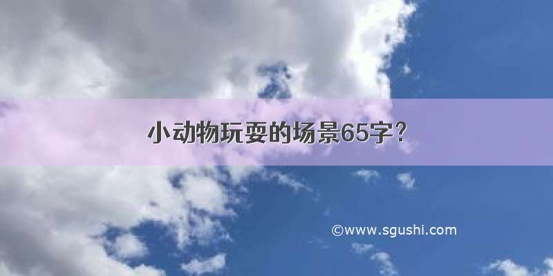 小动物玩耍的场景65字？