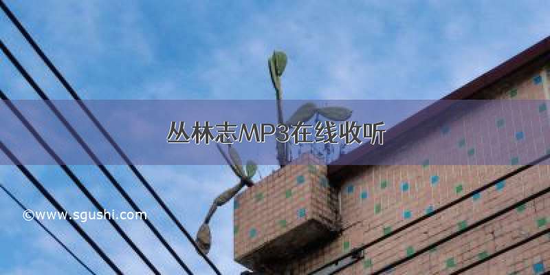 丛林志MP3在线收听