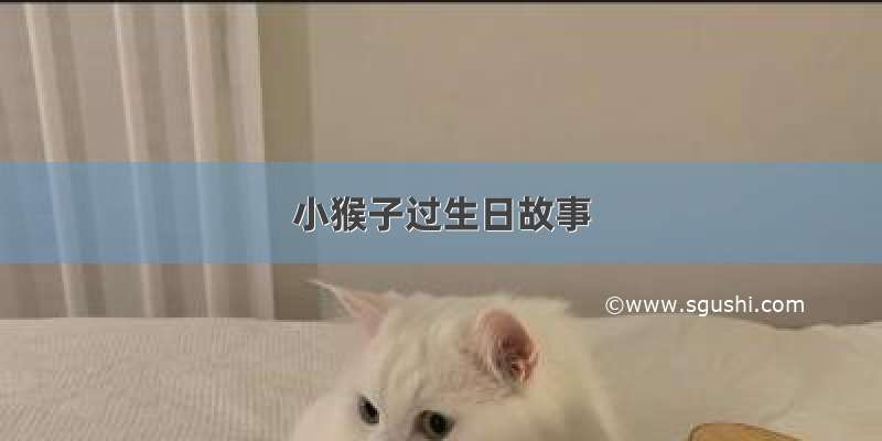 小猴子过生日故事