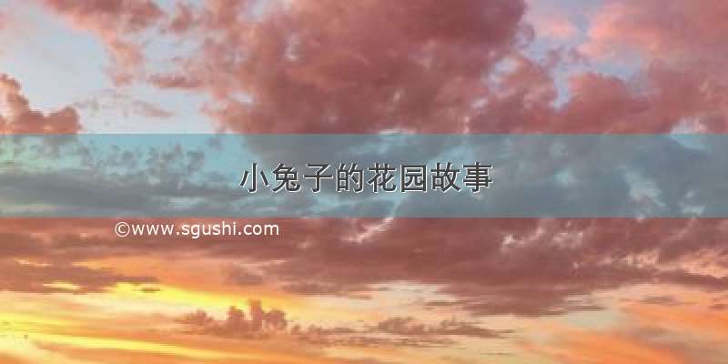 小兔子的花园故事