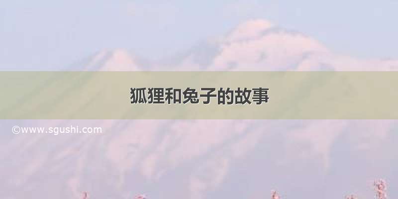 狐狸和兔子的故事