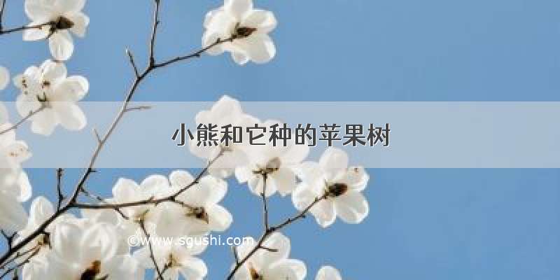 小熊和它种的苹果树