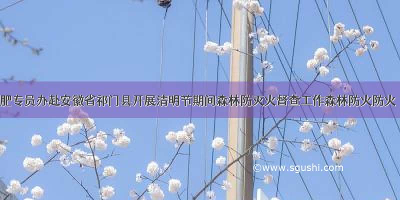 合肥专员办赴安徽省祁门县开展清明节期间森林防灭火督查工作森林防火防火