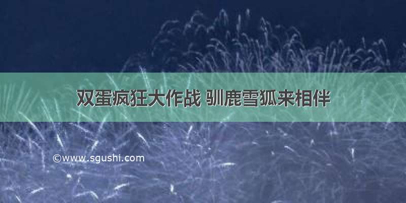 双蛋疯狂大作战 驯鹿雪狐来相伴