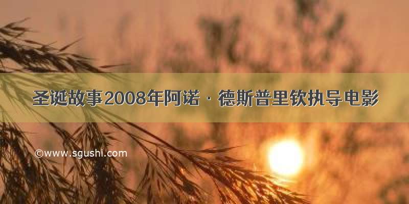 圣诞故事2008年阿诺·德斯普里钦执导电影