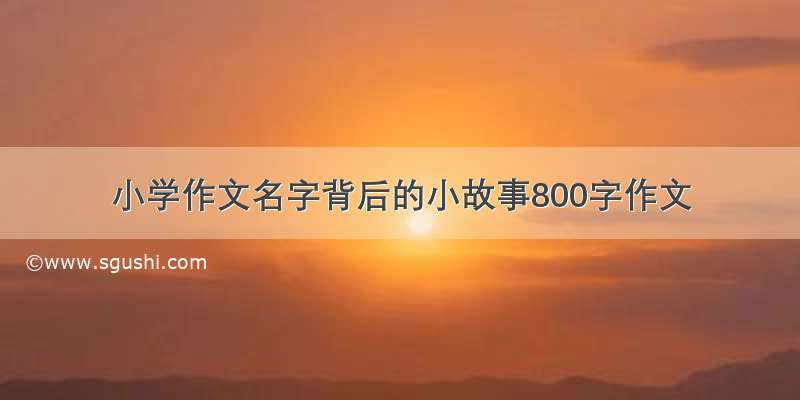 小学作文名字背后的小故事800字作文