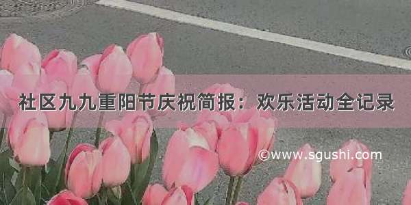 社区九九重阳节庆祝简报：欢乐活动全记录