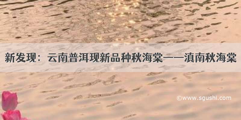 新发现：云南普洱现新品种秋海棠——滇南秋海棠