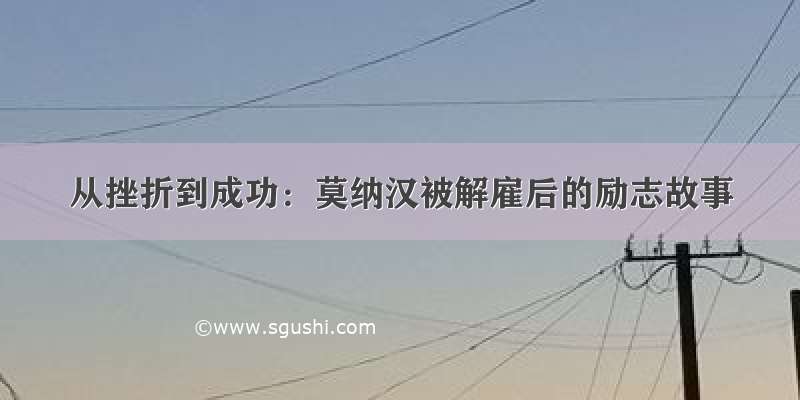 从挫折到成功：莫纳汉被解雇后的励志故事